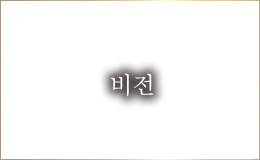 ビジョン